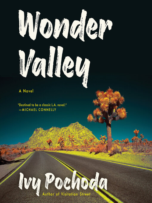 Title details for Wonder Valley by Ivy Pochoda - Wait list
